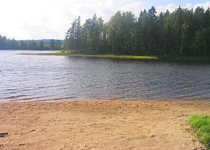 Honkaharju By Interhome בית נופש Petäjävesi